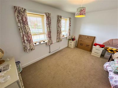Picture 21